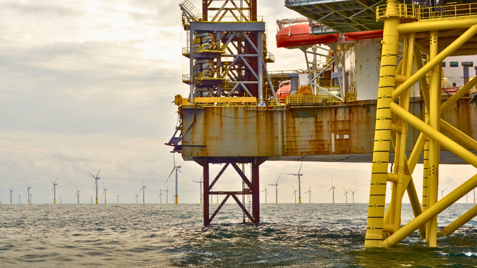 Case Study: Offshore Communications Reinforced with Peplink & Starlink Integration