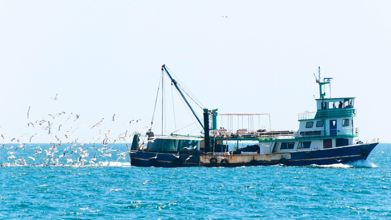 Case Study: How Emergency Repairs Restored Fishing Vessels to Peak Performance